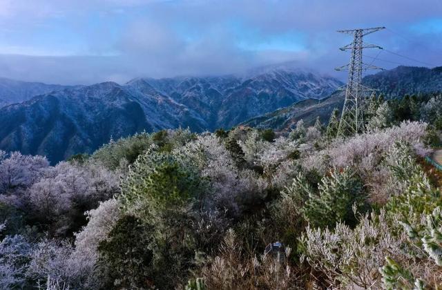 多图直击融水雾凇美景