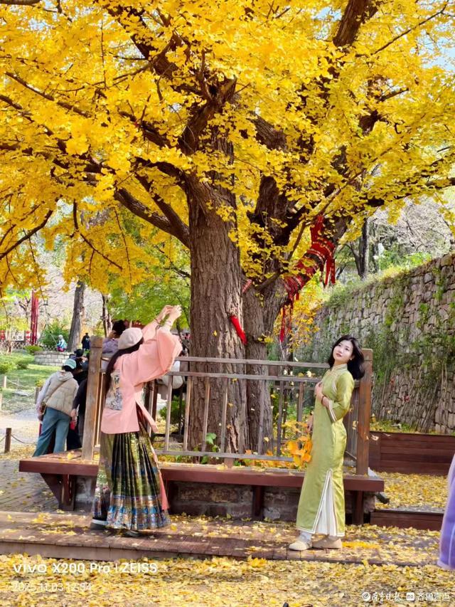 游人争相打卡灵岩寺