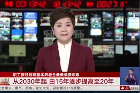 职工按月领取基本养老金最低缴费年限 从2030年起 由15年逐步提高至20年视频封面