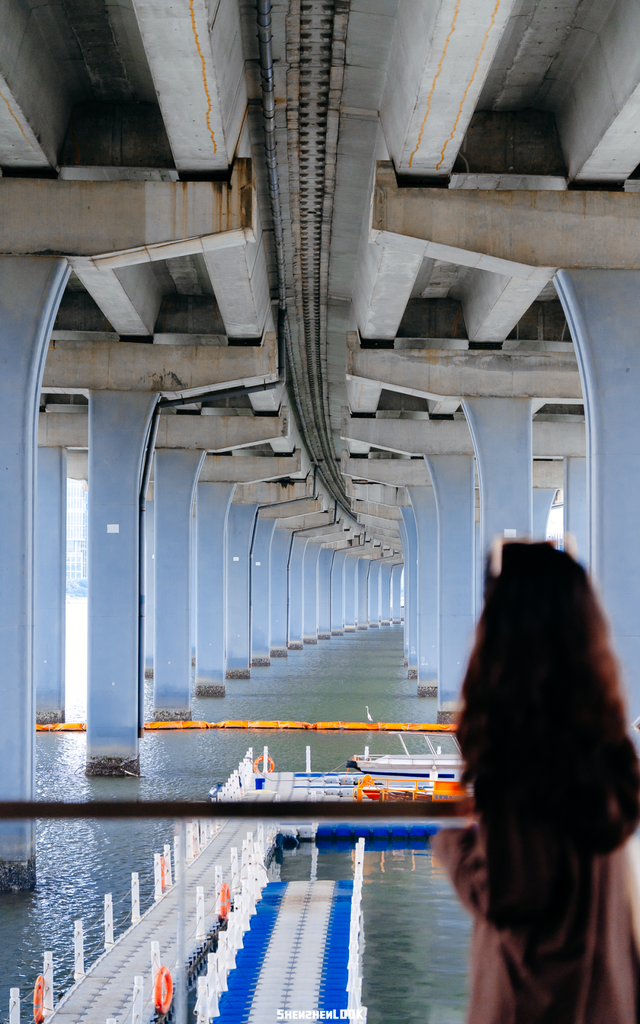 “看牛看海看夜景，深圳骑行路线精选”