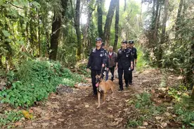 云南汪汪队又立功！警犬“巴克”成功搜救八旬走失老人图片