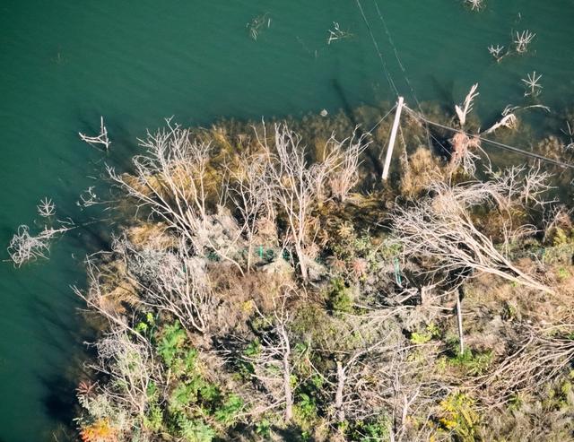崂山碧波映秋光