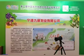 宁德九展茶油巧克力闪耀中国乡村特色优势产业发展大会图片