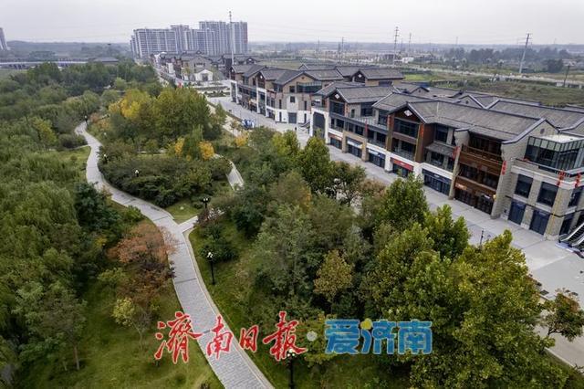 一年四季 泉在济南丨秋色入画！齐河大清河公园美成诗意画卷