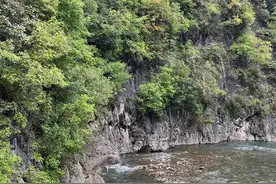 距离长安最近蜀道 诸葛亮为何不走丨寻路蜀道图片