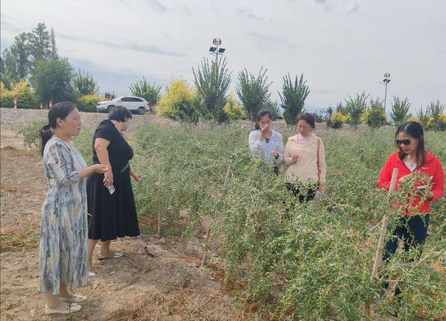 文化｜走马观花八家户农场