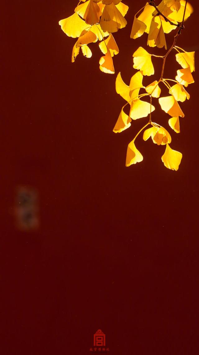 转发收藏！故宫初冬鎏金壁纸上新了