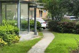 上海七旬老人小区散步被毒蛇咬伤，女儿崩溃：医院怎么选……这份救命指南快收好！图片