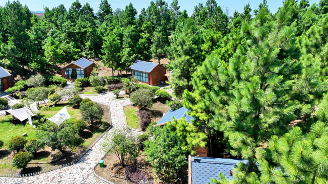 五条“冬”趣线路，邀您邂逅童话六安｜第十五届安徽国际文化旅游节