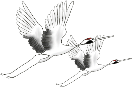 又到候鸟季，相约陆浑来观鸟~