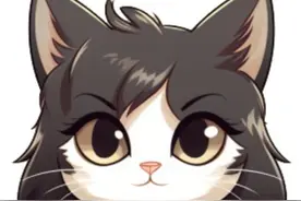 划重点了！法律咨询公司≠律师事务所图片