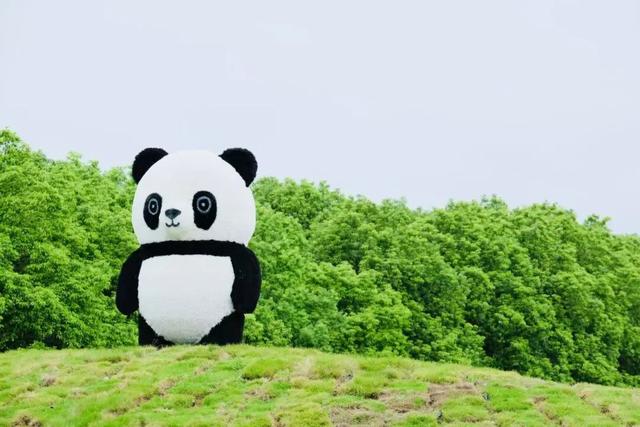 门票免费送！9月28日盛大开园！彭墩童梦乐园改造升级，“一站式”遛娃、休闲、打卡...