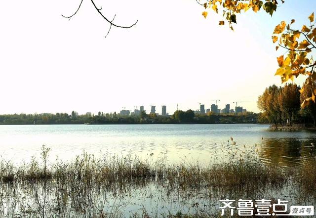 秀山东丨泰安市新泰，‌层林尽染映湖光，初冬绘就多彩画卷