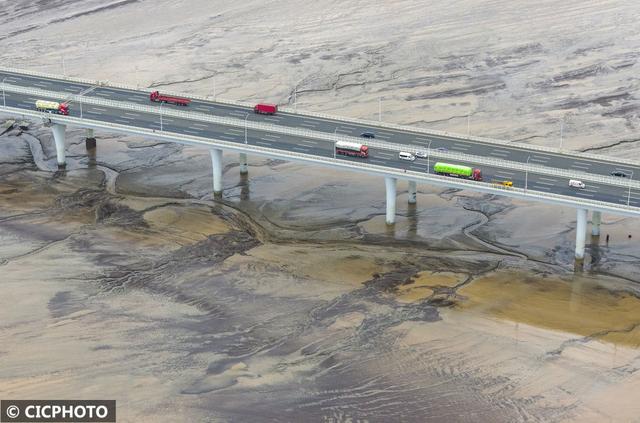 宛如水墨画！钱塘江滩涂出现“潮汐树”景观