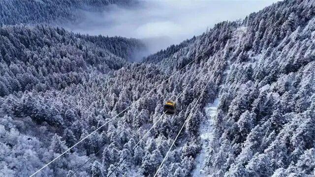 带你解锁甘川陕交界的小众秘境，陇南官方文旅品牌馆正式上线啦！