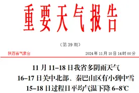 中雨、大雨、小到中雪、局地大雪！陕西发布重要天气报告！最高下降10℃以上图片