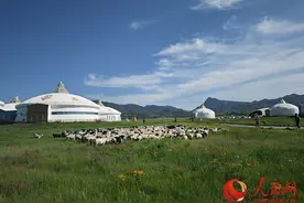 活力内蒙古丨行走在“城中草原”图片