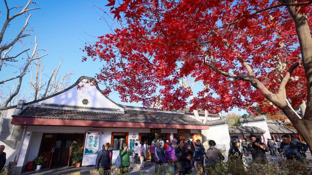 “赏景”变“享景”，情绪价值拉满游园不止“20分钟”