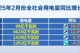 7434亿千瓦时，同比增长8.6%！透过数据看2月份全社会用电量图片