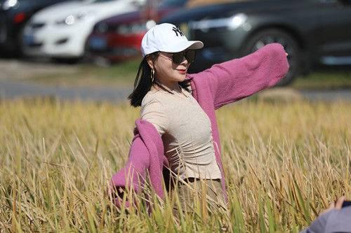 江宁佘村稻香吸引中外游客