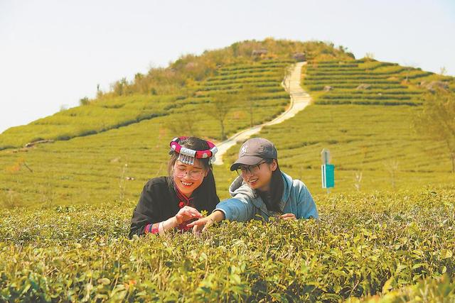 福建宁德：诗意山海 四季交响