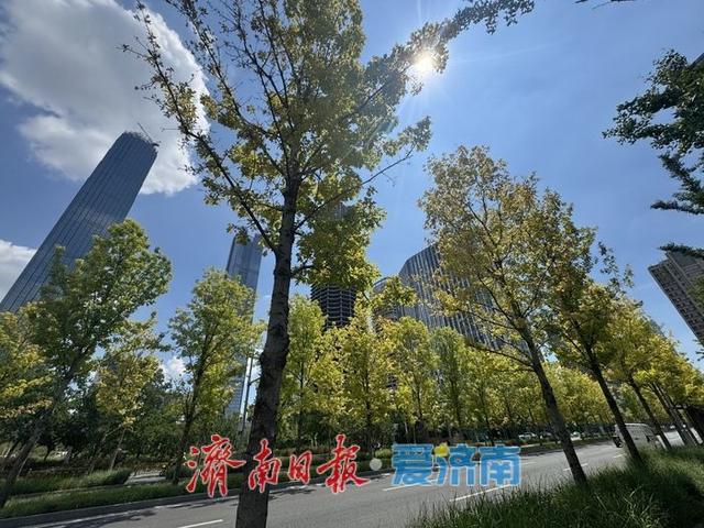 一年四季 泉在济南丨初秋济南CBD：蓝天白云作伴，树染微黄秋意渐浓
