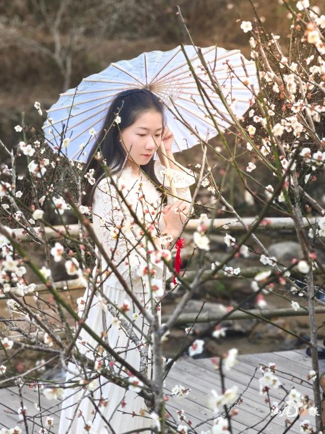 海陆视觉｜汕尾“香雪”醉游人