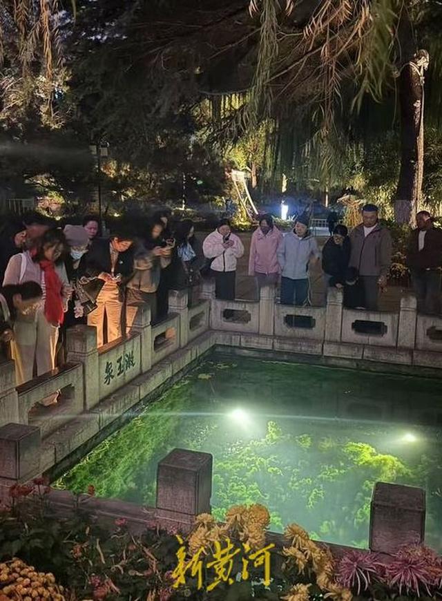 趵突泉换上初冬“限定皮肤” 菊花+银杏，氛围感拉满了