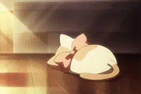 手脚冰凉多晒背图片