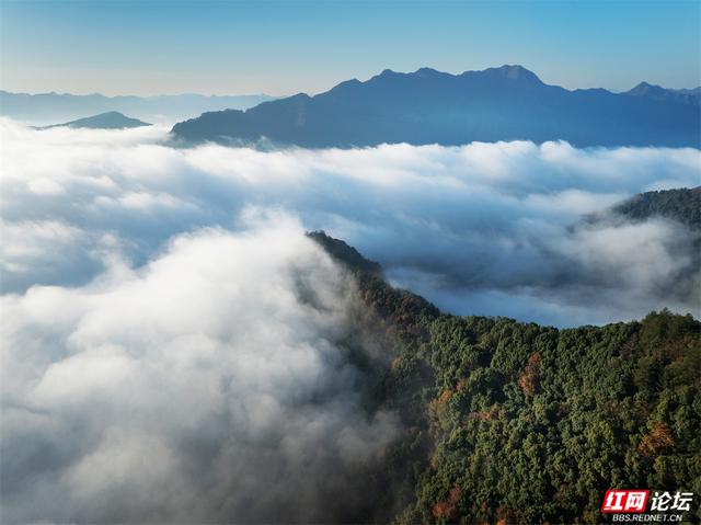 岁暖时刻丨张家界垭门关：云海翻涌时，哪座山的景色最让你心动？