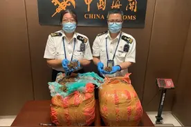 家里什么条件，虫草当饭吃图片