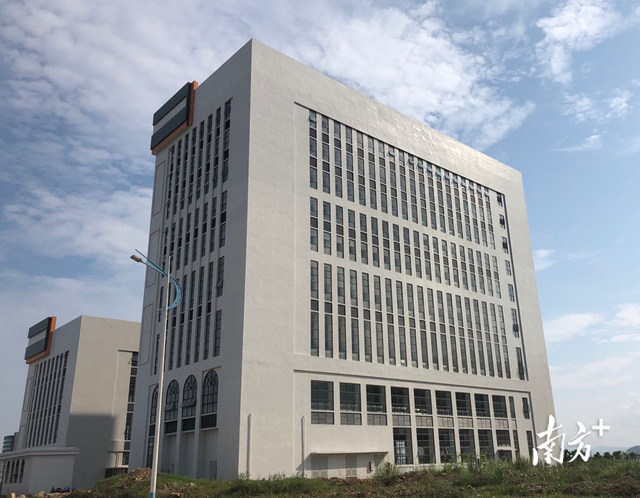 腹腔镜手术后能否吃花胶 腹腔镜术后可以吃花胶吗