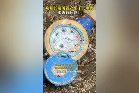 房屋长期闲置产生千元水费 水表有问题？图片