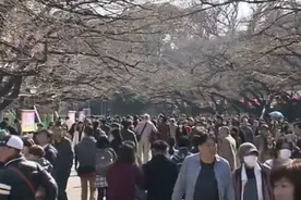 国庆出游日本热度第一？机票价格一夜大跌！有人已开始退团图片