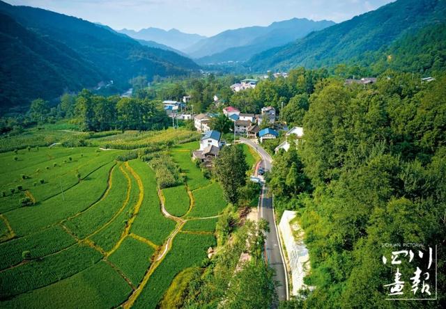 画卷天府·熊猫盛典｜从靠山吃山到养山富山：平武高村乡的生态振兴实践与启示