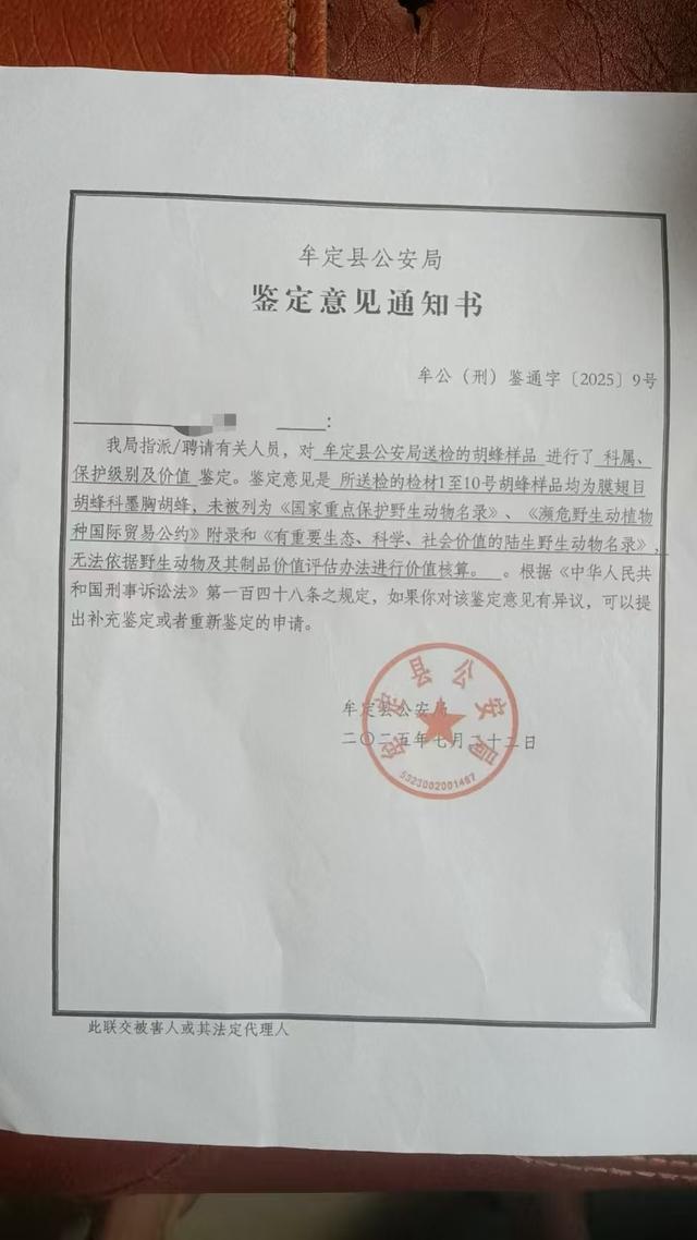 兄妹被胡蜂蜇亡 养蜂人被立案侦查