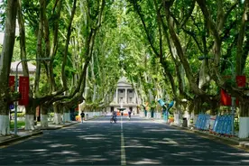 AI很风潮！关键在……图片