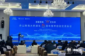 累计总流量达1.16亿辆车，舟山跨海大桥即将迎来15周岁生日图片