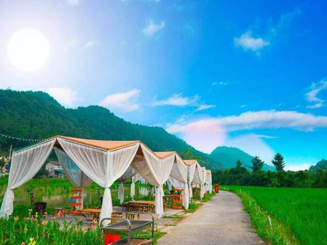 走，跟着《2025巴渝农耕文化赏秋体验地图》一起去寻秋！