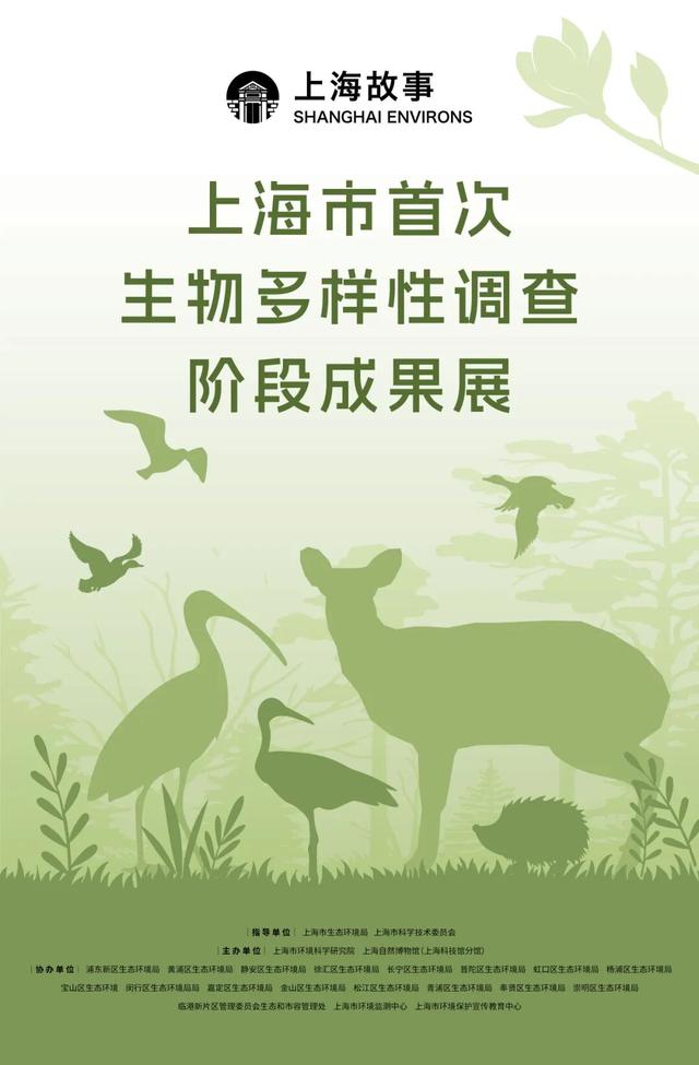 沪上金秋文博观展指南，免费/付费攻略附地址