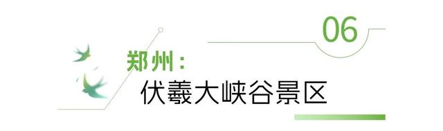 河南“天然空调房”地图上线！快来场“森呼吸”