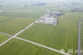 崇阳：测土配方“按方抓药” 耕地质量持续向好图片