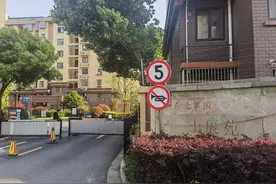 社区团购团长遭投诉扰民：便民与营利间的平衡挑战引发社会关注图片