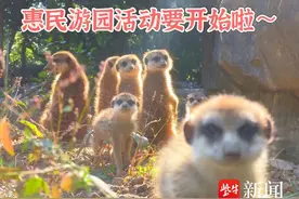 11月22日至24日，南京红山动物园3.5万个惠民游园名额开放报名图片