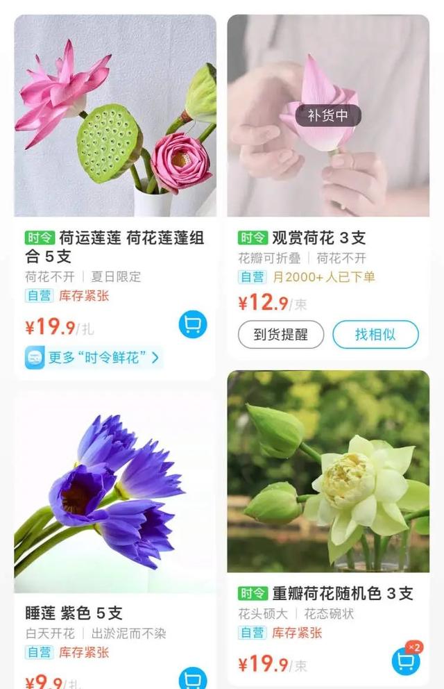上海人组团去追这个“夏日顶流”，狂晒朋友圈！限时开放