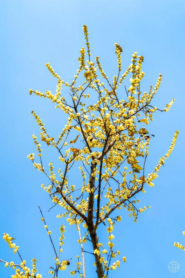 新年开门红！东湖1月嗨玩指南速领