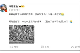 “肾结石”原来长这样！看完赶紧喝两口水压压惊图片