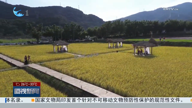 清凉地标引客来：暑期厦门山林避暑地受热捧