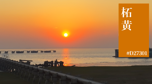 来横沙岛的秋风里，寻一抹中国黄