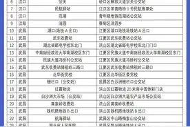 家门口就能坐！武汉开设34个城际大巴便民乘车点图片